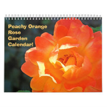 Peachy Orange Rose Flower Garden Calendars