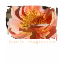 Peachy Rose Petals T-shirt