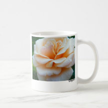 Peachy Rose Print  Mug