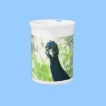 Peacock pitchers