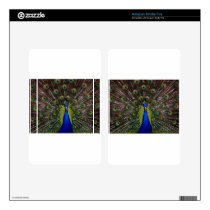 peacock-1868_640.jpg decals for kindle fire