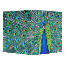 Peacock#3 3 Ring Binders