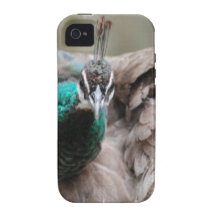 peacock-86.jpg iPhone 4 funda