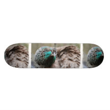 peacock-86.jpg skate board decks