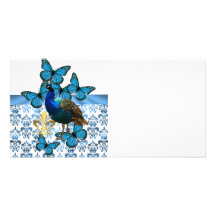 Peacock and blue butterflies photo cards