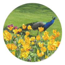Peacock And Flowers stickers