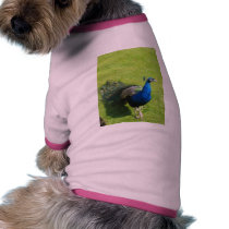 Peacock Animal Dog T Shirt