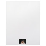 Peacock baby chick in hand personalized letterhead