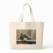 peacock bags