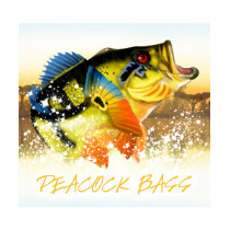 Peacock Bass6 t-shirts by bigfishead Peacock Bass6 t-shirts