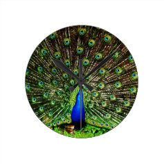Peacock Beautiful Green Bird Animal Royal Luxury S Round Clock