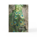 Peacock Beauty - Birthday Greeting Card by mmersdesign Peacock Beauty - Birthday Greeting Card