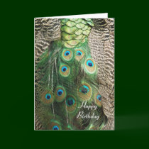 Peacock Beauty - Birthday Greeting Card