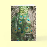 Peacock Beauty - Birthday Greeting Card