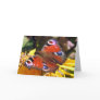 Peacock beauty greeting card