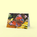 Peacock beauty greeting card