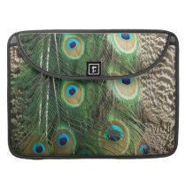 Peacock beauty - macbook pro sleeves