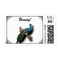 peacock, Beauty Postage stamps