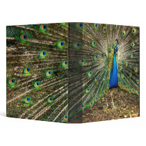 Peacock binder