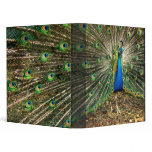 Peacock binder