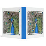 Peacock Binder