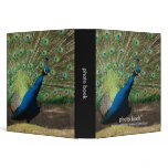 Peacock Binder