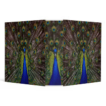 peacock binder notebook