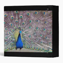 Peacock Bird  Binder binders