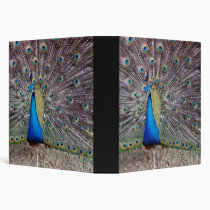 Peacock Bird  Binder binders