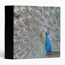 Peacock Bird  Binder binders