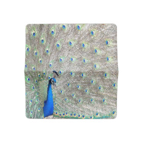 Peacock Bird Feathers Animal Checkbook Cover