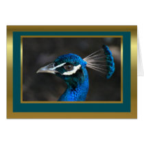 Peacock blank card for any event or occscasion