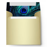 Peacock Blue Gold Peacock Feather Envelope envelope