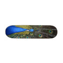 Peacock board skateboards