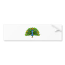 Peacock Bumper Stickers