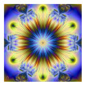 Peacock Burst Print