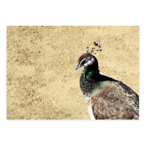 Peacock business cards by dinatemraz Peacock business cards
