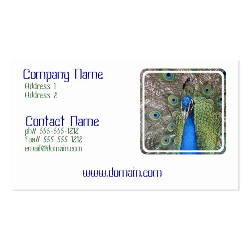 Peacock Business Card (front side)