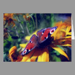 Peacock Butterfly cards