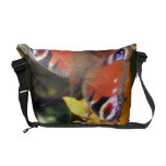 Peacock Butterfly - Messenger Bag