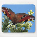 Peacock - Butterfly mousepad