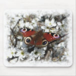 Peacock Butterfly Mousepad mousepads
