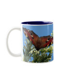 Peacock Butterfly mug