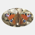 Peacock Butterfly stickers