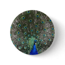 Peacock buttons