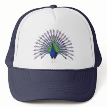 Peacock Caps Mesh Hats