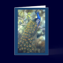 Peacock Card by Laura_Regan_Artist Peacock Card
