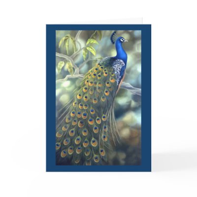 Peacock Card
