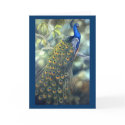 Peacock Card by Laura_Regan_Artist Peacock Card