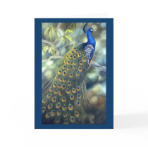 Peacock Card